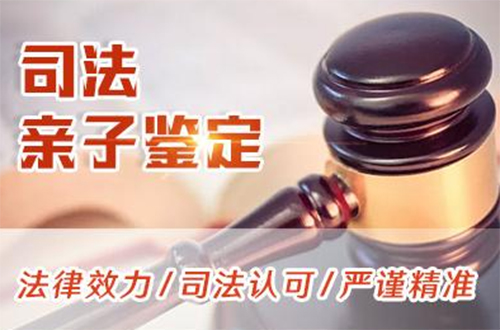 江西省司法亲子鉴定需要怎么办理,